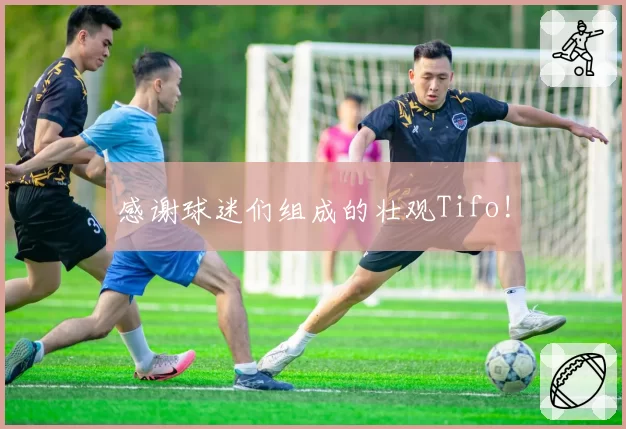 感谢球迷们组成的壮观Tifo!
