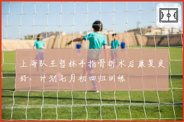 上海队王哲林手指骨折术后康复良好,计划七月初回归训练