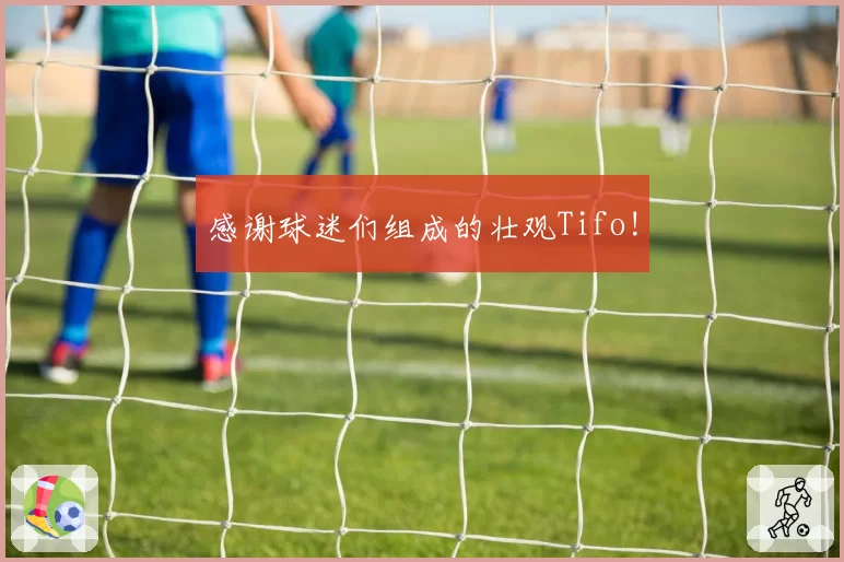 感谢球迷们组成的壮观Tifo!