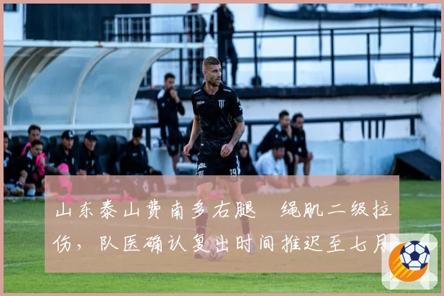 山东泰山费南多右腿腘绳肌二级拉伤，队医确认复出时间推迟至七月中旬